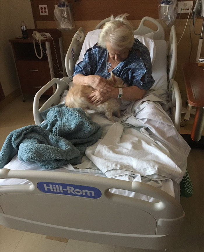 This Girl Just Smuggled Her Grandmother&#8217;s Dog Into Hospital, And People Can&#8217;t Handle It