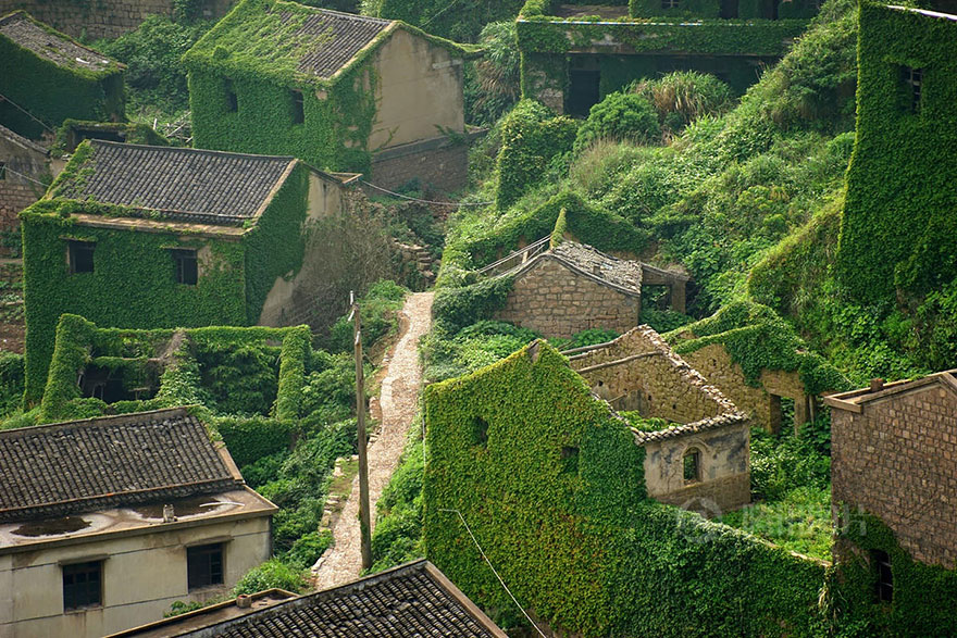 Abandoned Chinese Fishing Village Being Swallowed By Nature