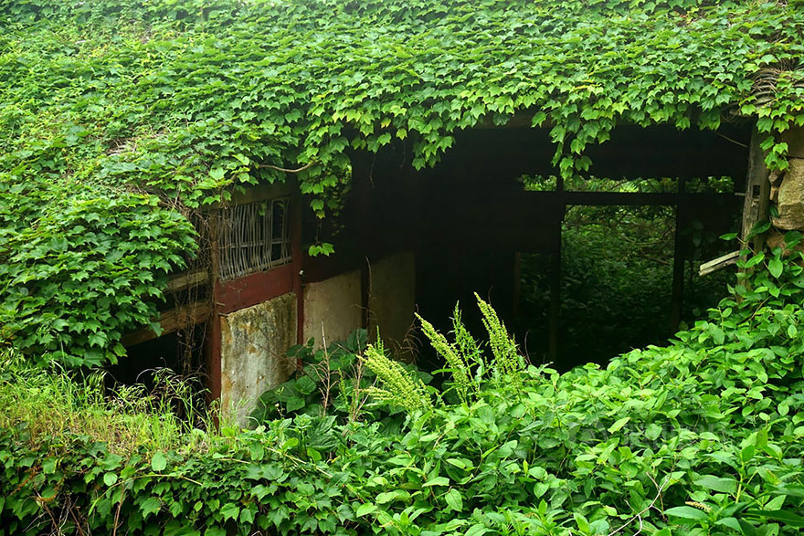 Abandoned Chinese Fishing Village Being Swallowed By Nature