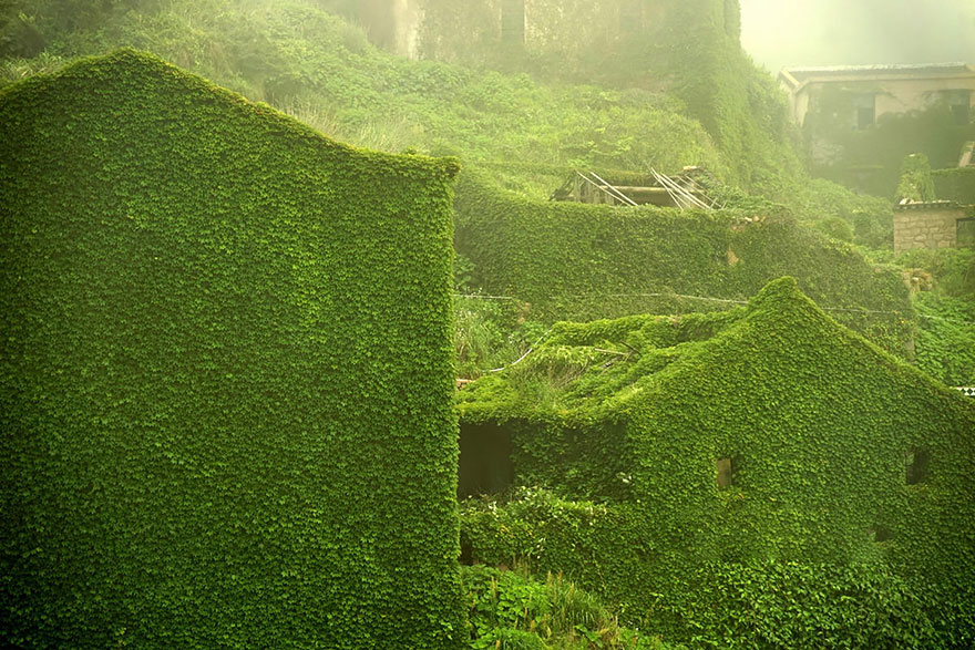 Abandoned Chinese Fishing Village Being Swallowed By Nature
