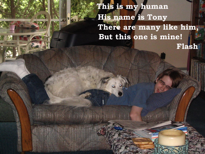 Hey Pandas, This Time Share Pictures Of Your Doggos And Puppers Acting Weird Hey Pandas, This Time Share Pictures Of Your Doggos And Puppers Acting Weird