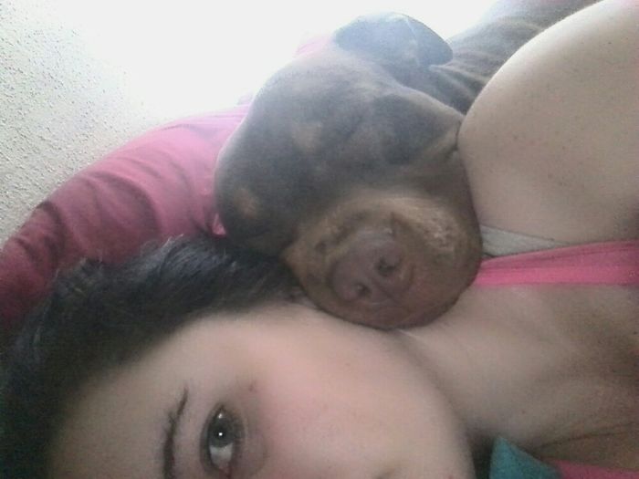 Hey Pandas, This Time Share Pictures Of Your Doggos And Puppers Acting Weird Hey Pandas, This Time Share Pictures Of Your Doggos And Puppers Acting Weird