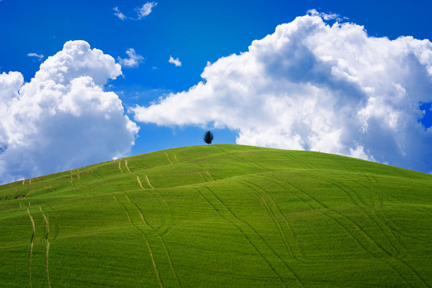 I Photographed Tuscany And It Looks Like The Classic Windows XP Wallpaper