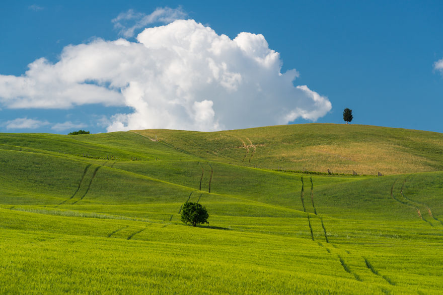 I Photographed Tuscany And It Looks Like The Classic Windows XP Wallpaper