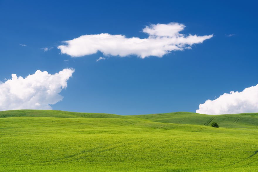 I Photographed Tuscany And It Looks Like The Classic Windows XP Wallpaper