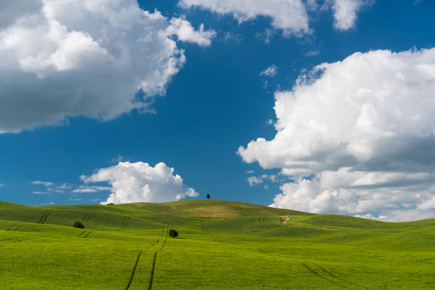 I Photographed Tuscany And It Looks Like The Classic Windows XP Wallpaper