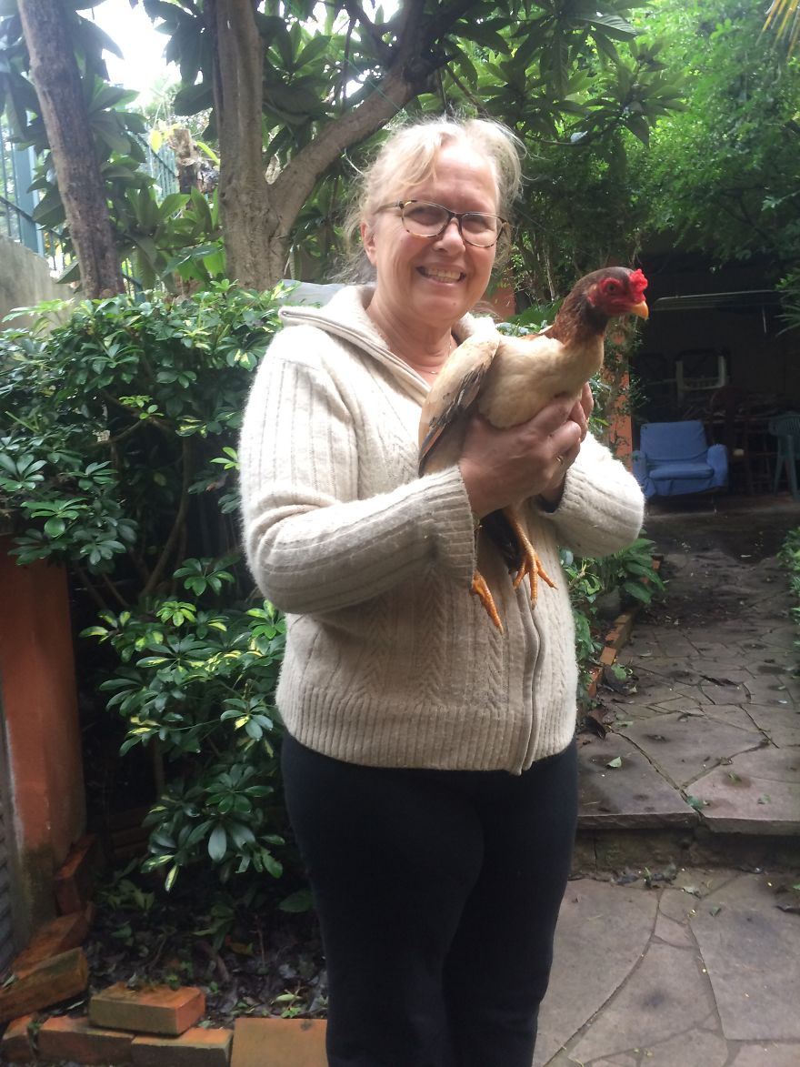 My Family And I Were Adopting Rescued Pets Since 2009 And This Is What We Got My Family And I Were Adopting Rescued Pets Since 2009 And This Is What We Got