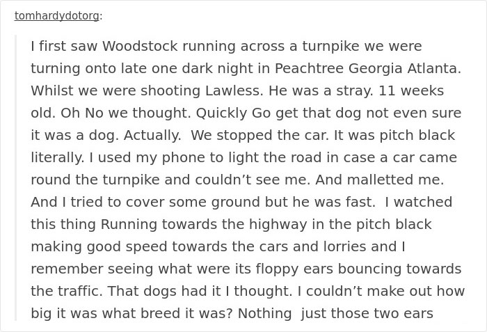Tom Hardy Posts Emotional Tribute For His Dog Who Just Passed Away, And People Are Drowning In Tears