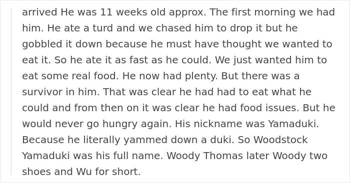 Tom Hardy Posts Emotional Tribute For His Dog Who Just Passed Away, And People Are Drowning In Tears