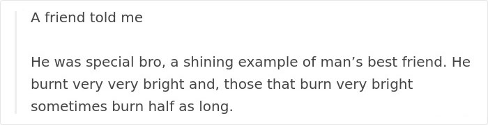Tom Hardy Posts Emotional Tribute For His Dog Who Just Passed Away, And People Are Drowning In Tears