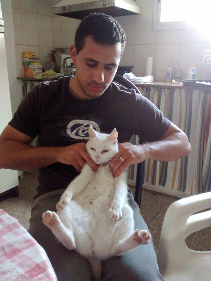 People Are Sharing Pics Of Their Cats Acting Weird (Add Yours)