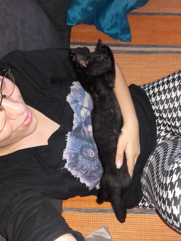 People Are Sharing Pics Of Their Cats Acting Weird (Add Yours)