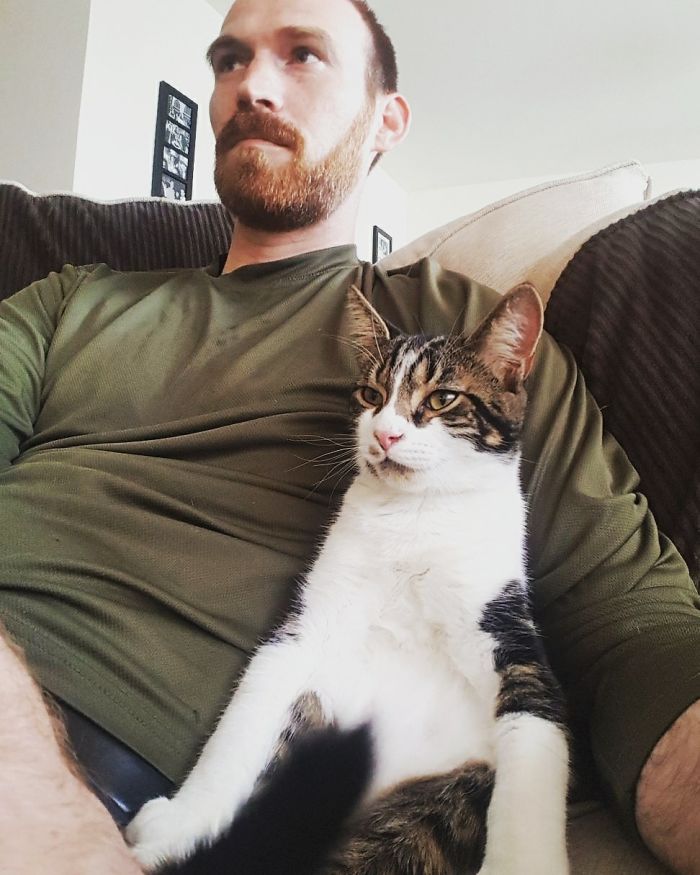 People Are Sharing Pics Of Their Cats Acting Weird (Add Yours)