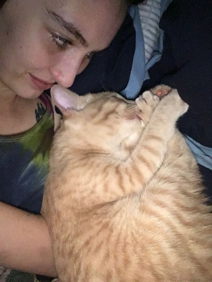 People Are Sharing Pics Of Their Cats Acting Weird (Add Yours)