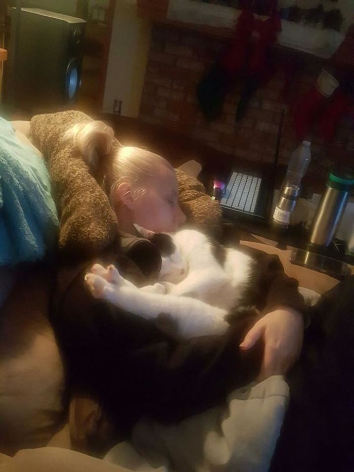 People Are Sharing Pics Of Their Cats Acting Weird (Add Yours)