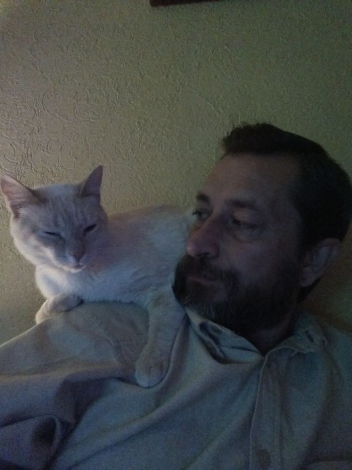 People Are Sharing Pics Of Their Cats Acting Weird (Add Yours)