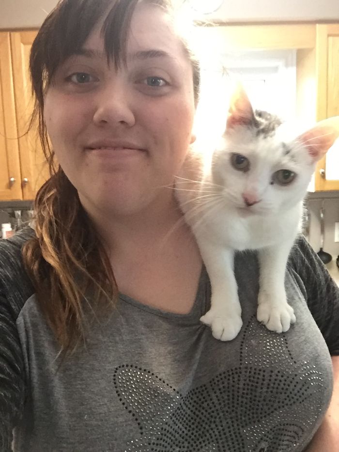 People Are Sharing Pics Of Their Cats Acting Weird (Add Yours)