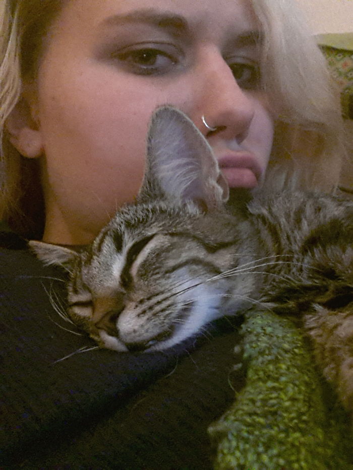 People Are Sharing Pics Of Their Cats Acting Weird (Add Yours)