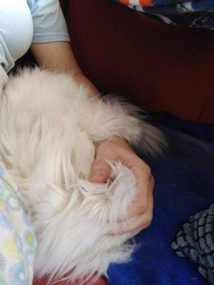 People Are Sharing Pics Of Their Cats Acting Weird (Add Yours)