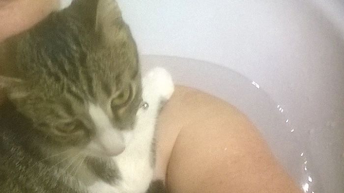 People Are Sharing Pics Of Their Cats Acting Weird (Add Yours)