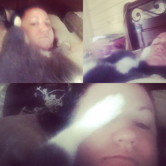 People Are Sharing Pics Of Their Cats Acting Weird (Add Yours)