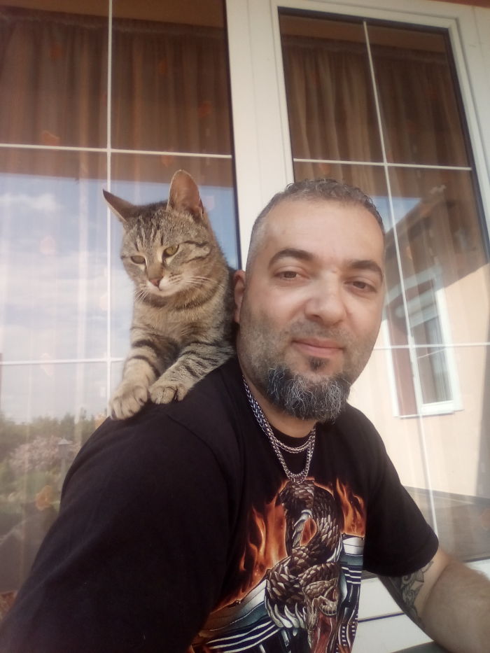 People Are Sharing Pics Of Their Cats Acting Weird (Add Yours)