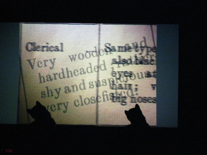 People Are Sharing Pics Of Their Cats Acting Weird (Add Yours)