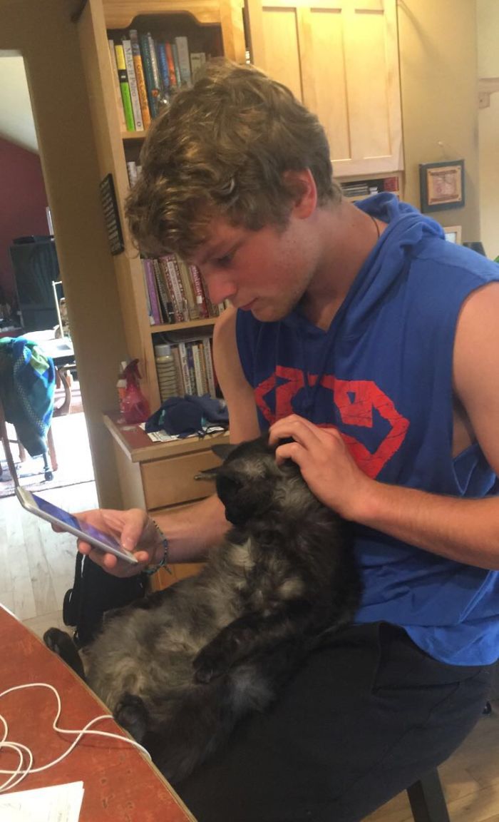 People Are Sharing Pics Of Their Cats Acting Weird (Add Yours)