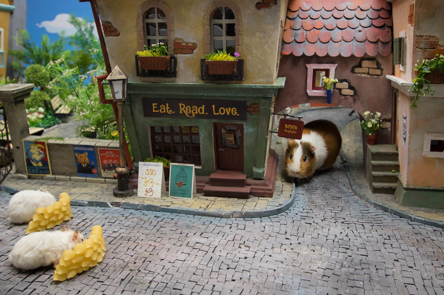 It Took Us 1984 Hours To Create This Miniature Town For Hamsters