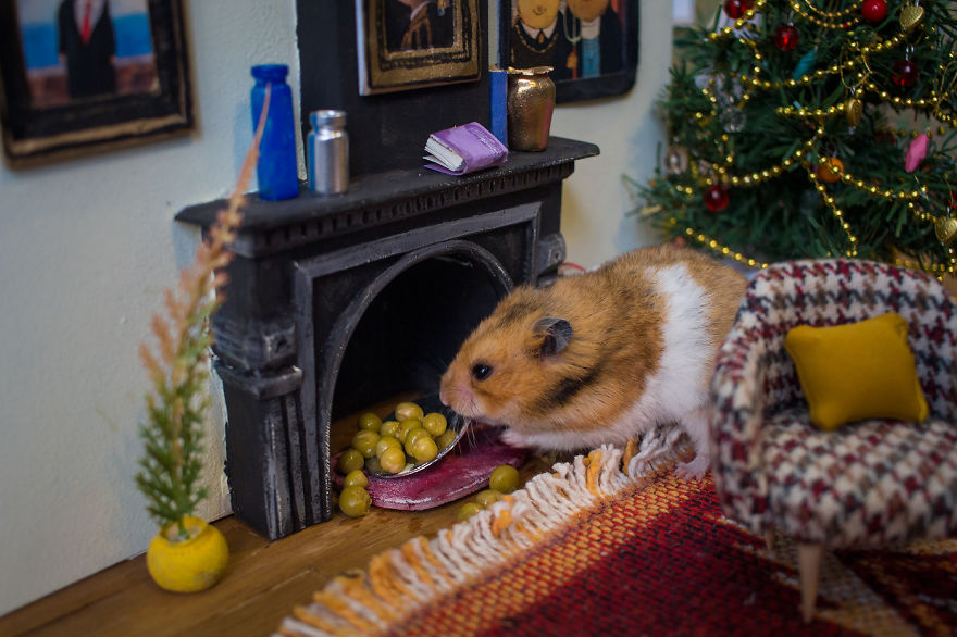 It Took Us 1984 Hours To Create This Miniature Town For Hamsters