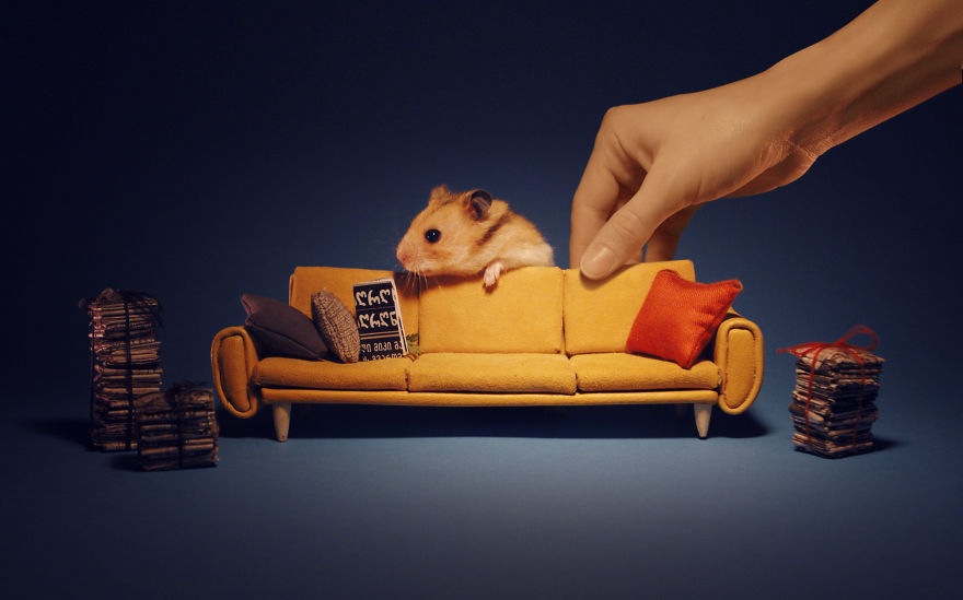 It Took Us 1984 Hours To Create This Miniature Town For Hamsters