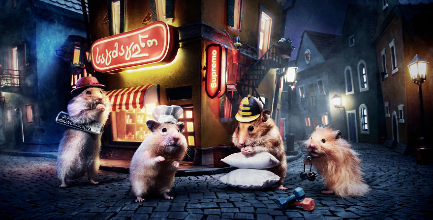 It Took Us 1984 Hours To Create This Miniature Town For Hamsters