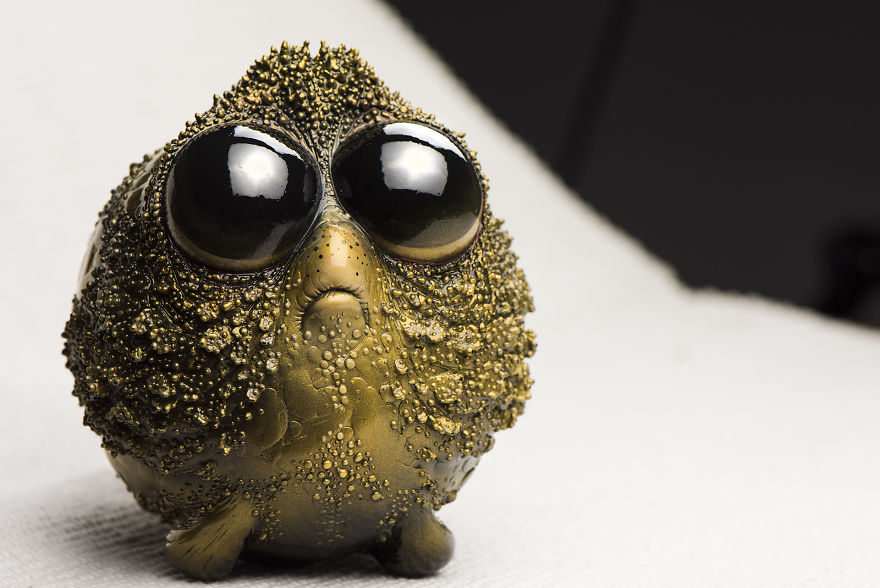 We Discovered New Ocean Species We Discovered New Ocean Species