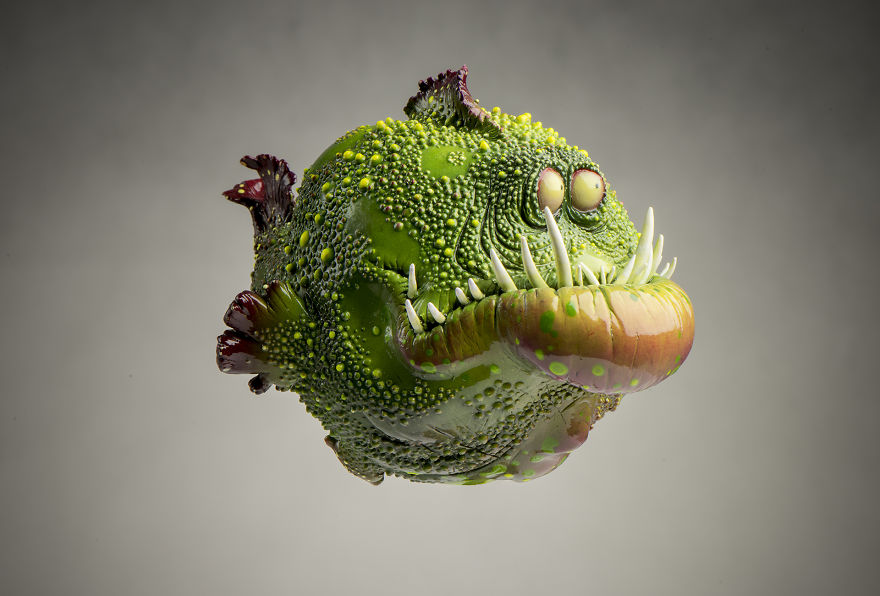 We Discovered New Ocean Species We Discovered New Ocean Species