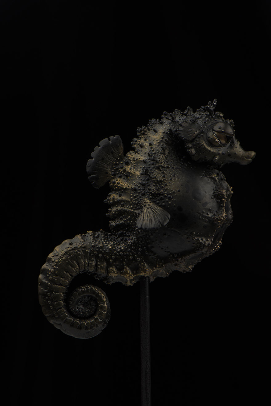 We Discovered New Ocean Species We Discovered New Ocean Species