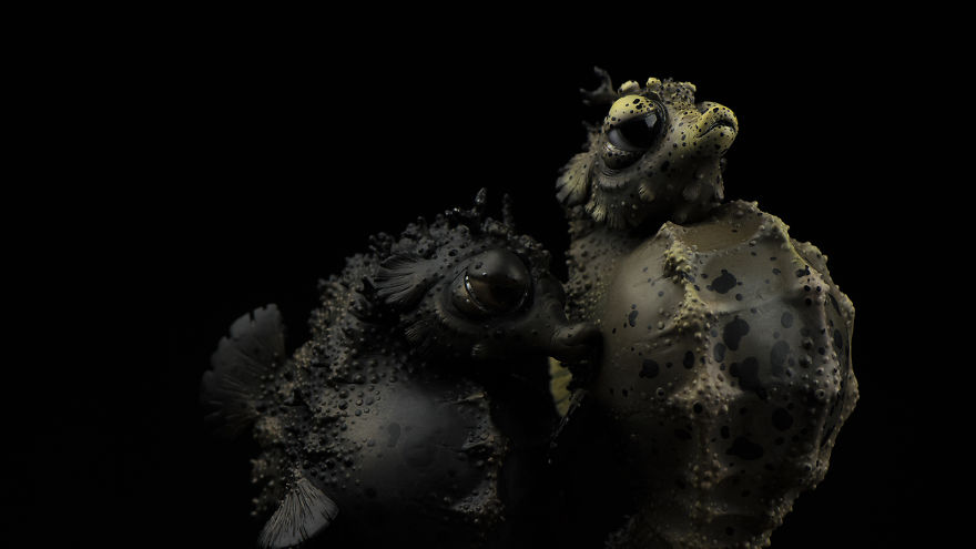 We Discovered New Ocean Species We Discovered New Ocean Species