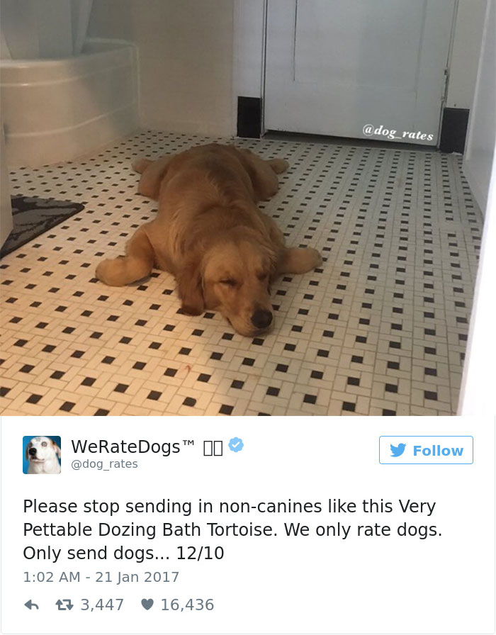 41 Times People Failed To Send Dog Pics To ‘We Rate Dogs’ Twitter 41 Times People Failed To Send Dog Pics To ‘We Rate Dogs’ Twitter