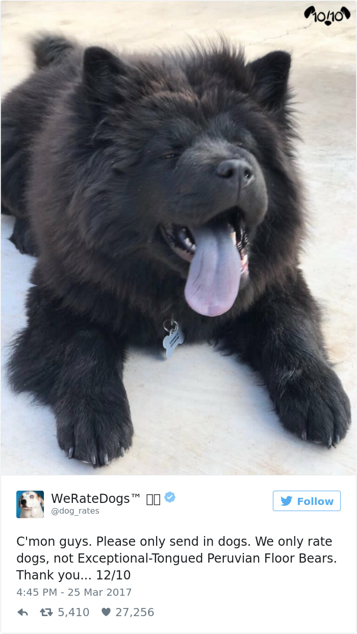 41 Times People Failed To Send Dog Pics To ‘We Rate Dogs’ Twitter 41 Times People Failed To Send Dog Pics To ‘We Rate Dogs’ Twitter