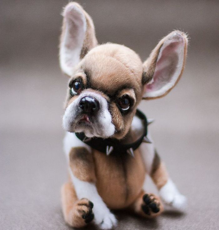 I Create Unique And Completely Handmade Dogs I Create Unique And Completely Handmade Dogs