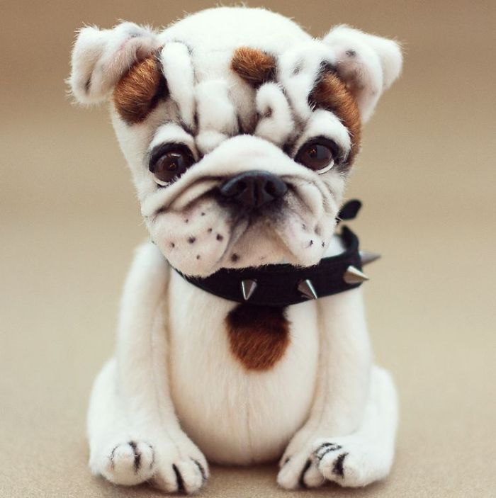 I Create Unique And Completely Handmade Dogs I Create Unique And Completely Handmade Dogs