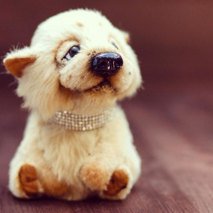 I Create Unique And Completely Handmade Dogs I Create Unique And Completely Handmade Dogs