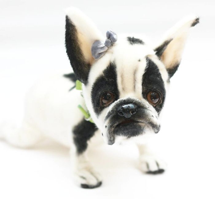 I Create Unique And Completely Handmade Dogs I Create Unique And Completely Handmade Dogs