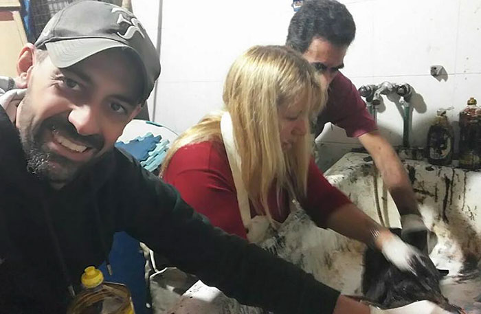 Two Boys Rescue A Dog All Covered In Tar, And Now He Looks As Good As New Two Boys Rescue A Dog All Covered In Tar, And Now He Looks As Good As New