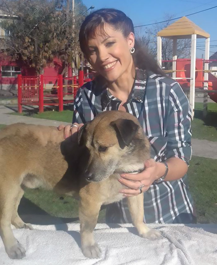 Two Boys Rescue A Dog All Covered In Tar, And Now He Looks As Good As New Two Boys Rescue A Dog All Covered In Tar, And Now He Looks As Good As New