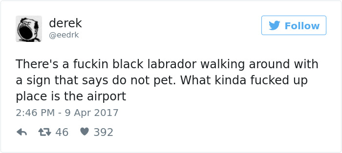 205 Funny Tweets By Derek