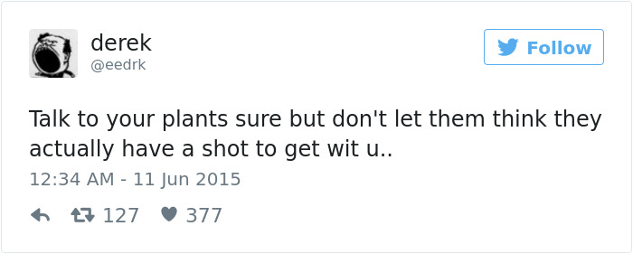 205 Funny Tweets By Derek