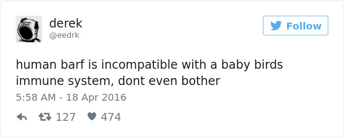 205 Funny Tweets By Derek