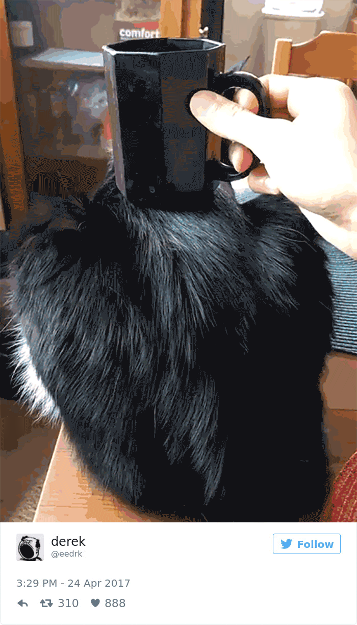 205 Funny Tweets By Derek