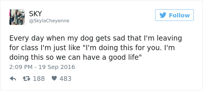 60 Funny Dog Tweets That Are Too Relatable 60 Funny Dog Tweets That Are Too Relatable