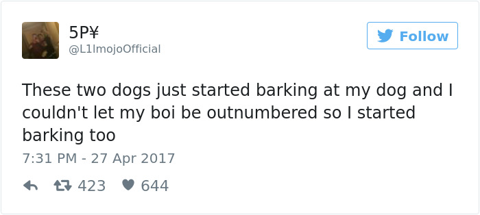 60 Funny Dog Tweets That Are Too Relatable 60 Funny Dog Tweets That Are Too Relatable